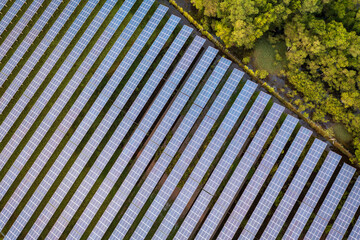 Sprawling Solar Panel Array on Green Field