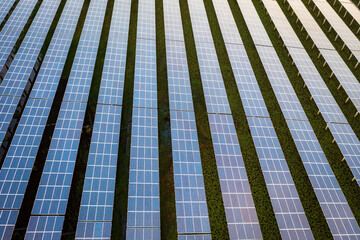 Sprawling Solar Panel Array on Green Field