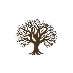 Silhouette of a bare tree