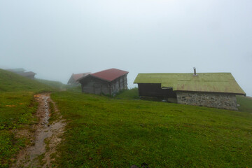 Pokut Plateau is a plateau located in Çamlıhemşin district of Rize province. Its altitude is...