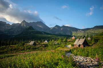 A view of the beautiful and picturesque caterpillar hall ( hala gąsienicowa )