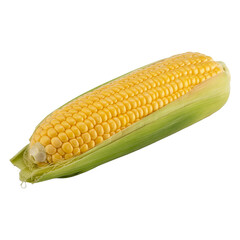 Fresh yellow corn cob with green husk on a transparent background