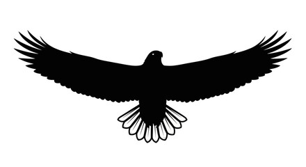 Obraz premium Majestic Eagle Soaring with Wings Fully Extended