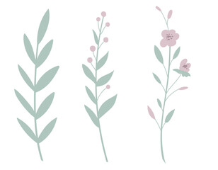Vector illustration of pastel floral stems with leaves and flowers. Art of plants for botanical prints or children designs. Drawing of herbs for wedding invitations or baby shower greeting cards.