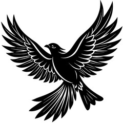 Fototapeta premium Black Silhouette of Soaring Bird in Flight