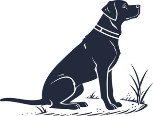 black labrador retriever