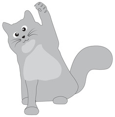 Playful cat shows its paw with claws