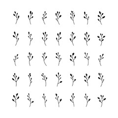 Botanical Leaves Variety Set. A versatile collection of hand-drawn leaves in different shapes and sizes, ideal for decorative designs, eco-projects, and modern branding.