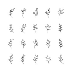 Linear Leaf Sprigs Collection. Linear Leaf Sprigs Collection a minimalist set of fine line botanical sprigs with delicate leaves, perfect for logos, eco packaging, and branding.