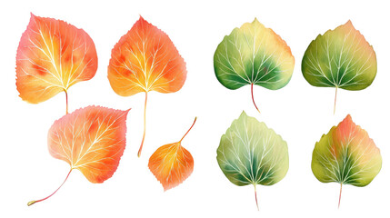 Obraz premium Vivid Watercolor Flat-Lay of Aspen Leaves – Hand-Painted Botanical Mix on Black