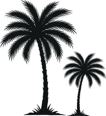 Tropical palm tree silhouette vector illustration, exotic island plant design, summer beach paradise nature art for travel and decoration themes
