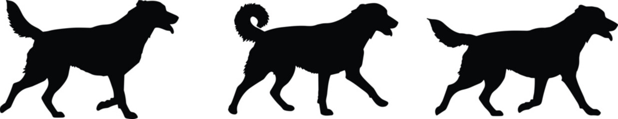 Silhouettes of walking dogs in motion sequence, canine walking posture, pet movement collection, black dog vector illustration for design use