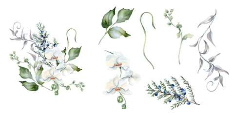 White orchids, eucalyptus and juniper in pastel tones watercolor clipart isolated. Floral set of coniferous branch, white flowers hand drawn. Greenery design in soft sage green for packaging, invite