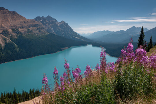 experience breathtaking summer landscapes and stunning nature of  different cities in canada showcasing their