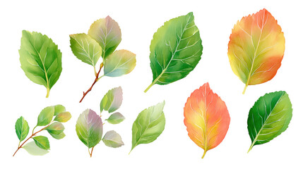 Obraz premium Scattered plum leaves watercolor arrangement isolated on transparent background