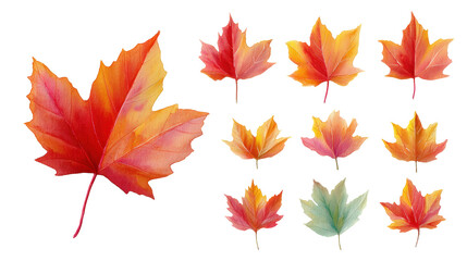 Fototapeta premium Red Maple Leaves Flat-Lay – Watercolor Clip-Art PNG