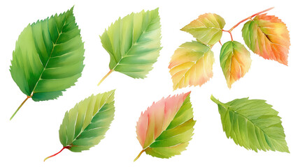 Obraz premium Raspberry Foliage Composition – Hand-Painted Watercolor