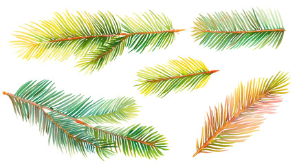 Naklejka premium Spruce Needle Collection in Watercolor with Vivid Green Shades and Fine Detailing, with Transparent Background