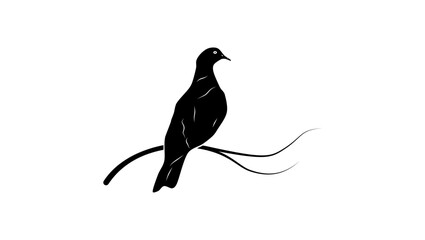 Christmas Island Imperial-Pigeon, black isolated silhouette