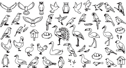 Obraz premium Editable Birds Vector Icons