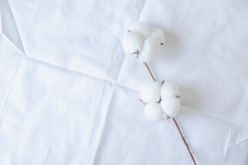 White cotton flowers on white bed linen, top view, copy space. 