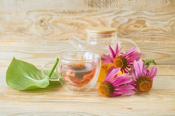 Medicinal herbal tea from echinacea flowers. Tea in a glass cup with fresh echinacea flowers on a wooden background.