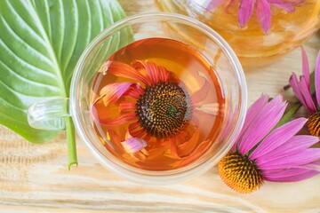 Medicinal herbal tea from echinacea flowers. Tea in a glass cup with fresh echinacea flowers on a wooden background.