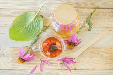 Medicinal herbal tea from echinacea flowers. Tea in a glass cup with fresh echinacea flowers on a wooden background.