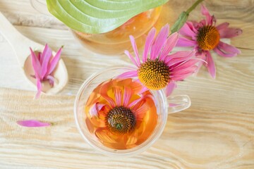 Medicinal herbal tea from echinacea flowers. Tea in a glass cup with fresh echinacea flowers on a wooden background.