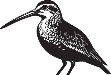 black vector image of Long billed Pipet