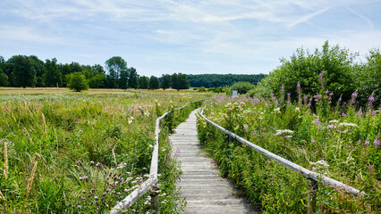 Schwellenweg durch das Schopflocher Torfmoos auf der schw&auml;bischen Alb