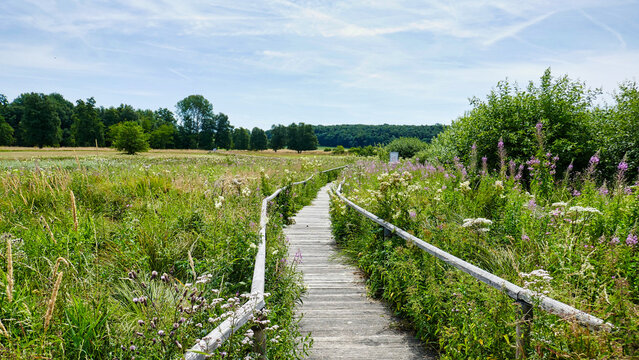 Schwellenweg durch das Schopflocher Torfmoos auf der schw&auml;bischen Alb