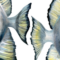 Close-up of a tropical fish tails with black and white stripes. Realistic watercolor illustration in soft, cool blue-gray tones for marine-themed designs, educational materials, aquarium branding.