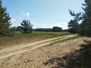 photo Dirt road in a field on a sunny summer day, Ukraine, to create picturesque rural landscapes