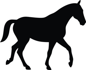 silhouette of a horse