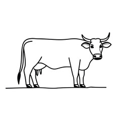 cow vector illustration