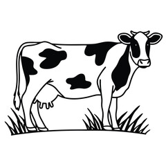 black and white cow