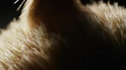 Close-up view of a soft brush bristle texture highlighting intricate details and natural fibers - Powered by Adobe