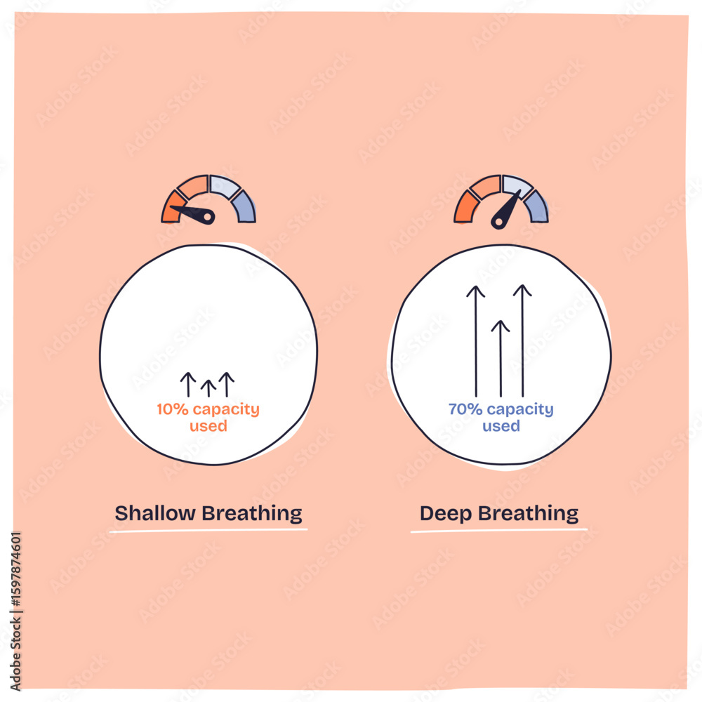 Poster lung function is shown by comparing shallow and deep breathing, highlighting air flow and capacity u