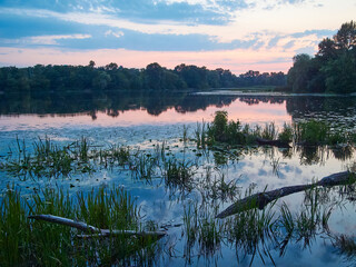 beautiful pond in summer time