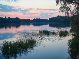 beautiful pond in summer time