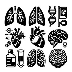 Illustration showing various human organs including lungs heart brain and dna in black and white style