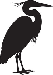 Obraz premium Goliath Heron in silhouette full white baackground.