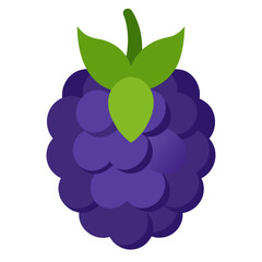 Blackberry  fruit vector illustration perfect for posters, icon, t-shirts, cards, wall art prints and ai design.