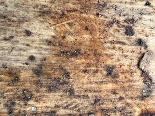 Close-up of a weathered wooden surface with dirt and debris, highlighting natural textures, imperfections, and rustic character.