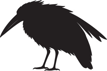 Hamerkop in silhouette full white baackground.