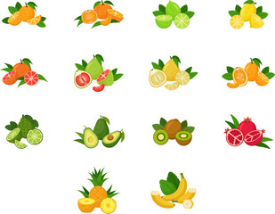 Flat design of citrus fruits. Vector illustrations on white background. Icons. Set of fruits.