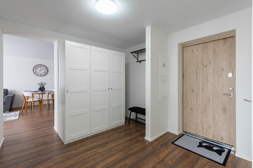 Home Entrance Hall. Interior. Wooden White Door, Brown Flooring and White Wardrobe