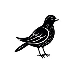 Obraz premium A dorian Fill art vector illustration.