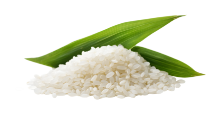 Close-up Rice Ear with Leaf Isolated on White Background